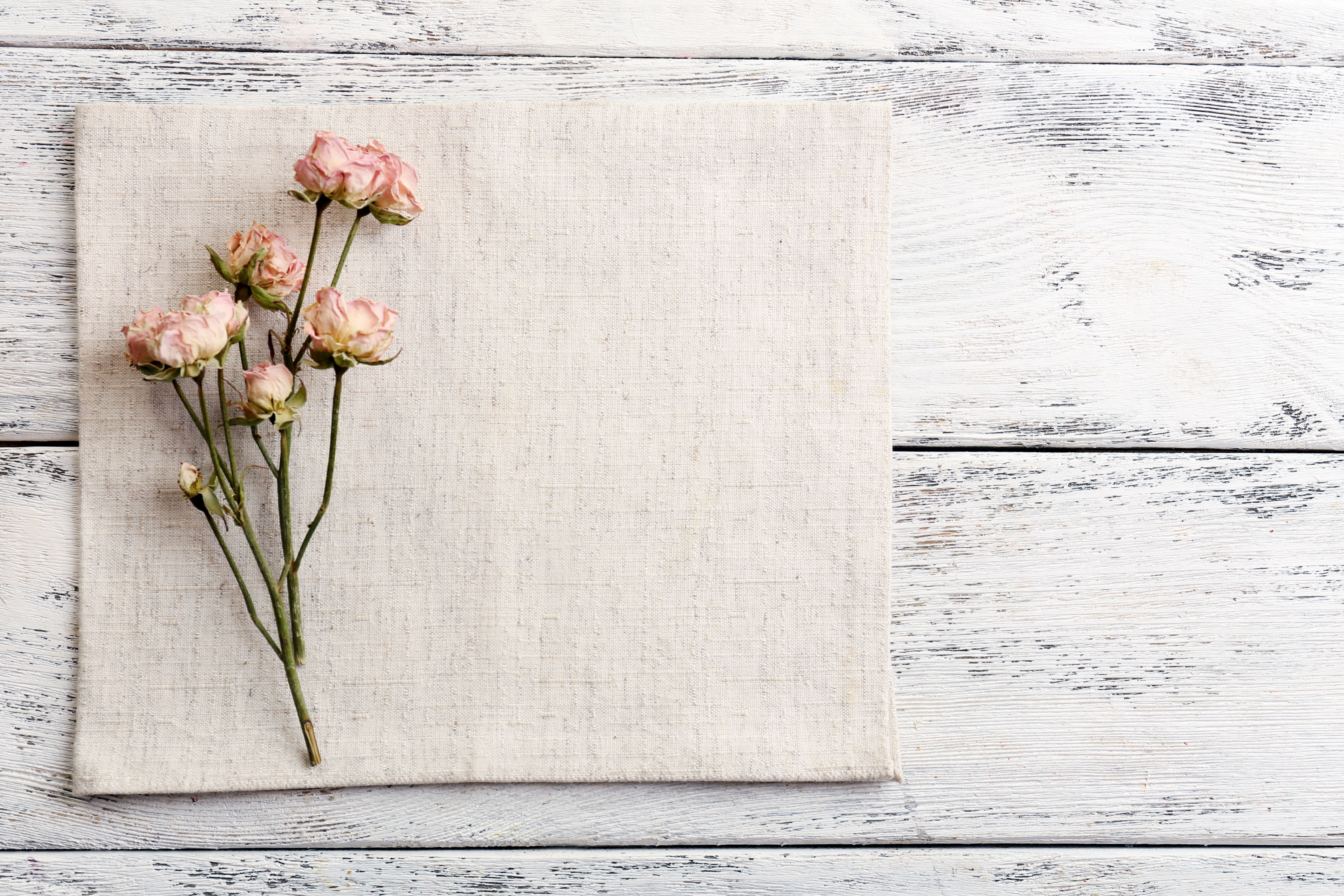 Beautiful Dry Flowers on Napkin with Wooden Background