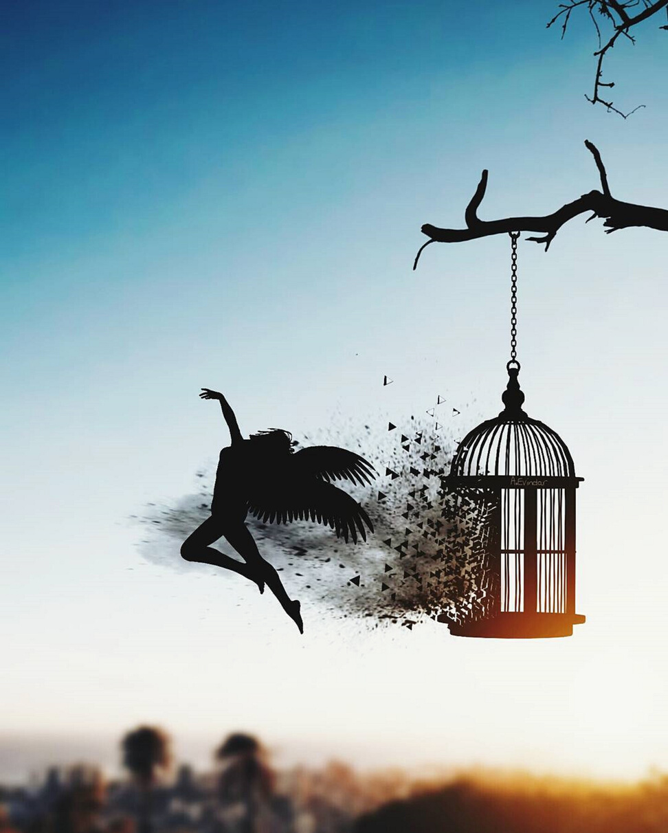 Freedom